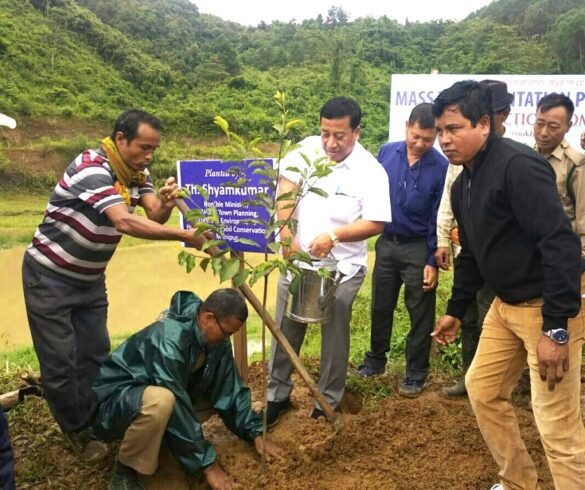 Mass tree plantation drive held at Kaina, Andro - News from Manipur ...